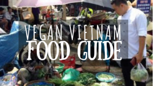 Vegan Vietnam Food Guide featured image