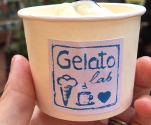gelato lab vegan sorbet 1