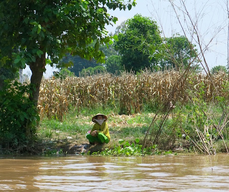 Experience life on the Mekong River.