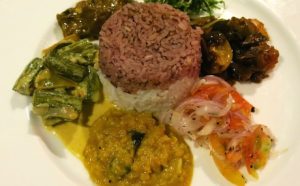 vegan rice and curry Sri LAnkan style at Jetwing Vil Uyana