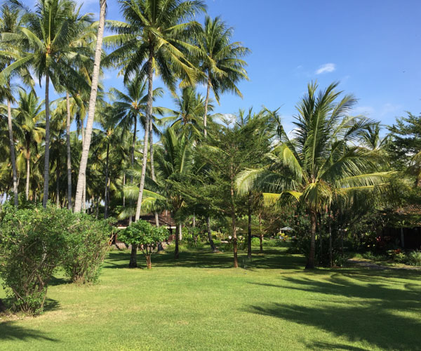Huge gardens at Diamond Beach Villa
