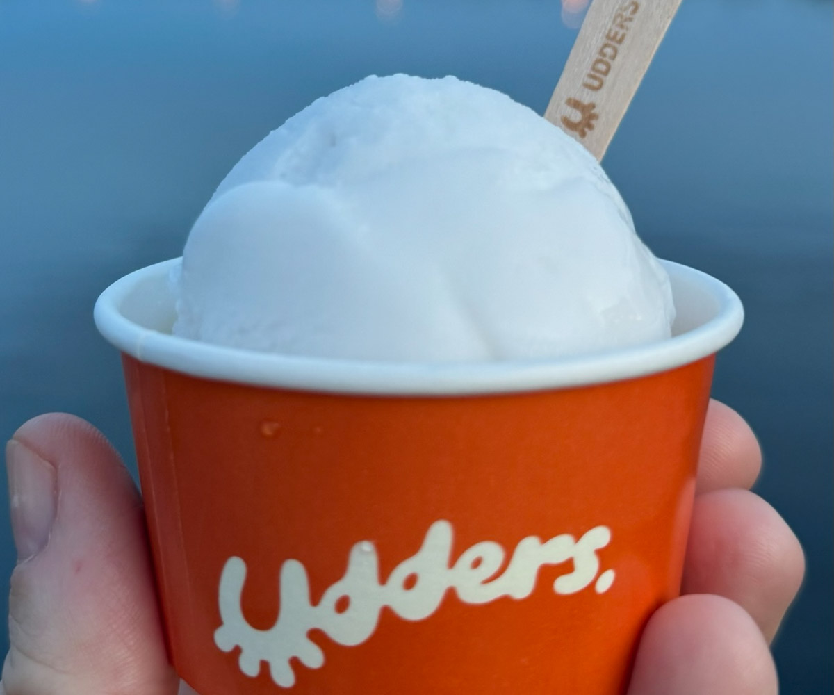 Udders vegan ice cream