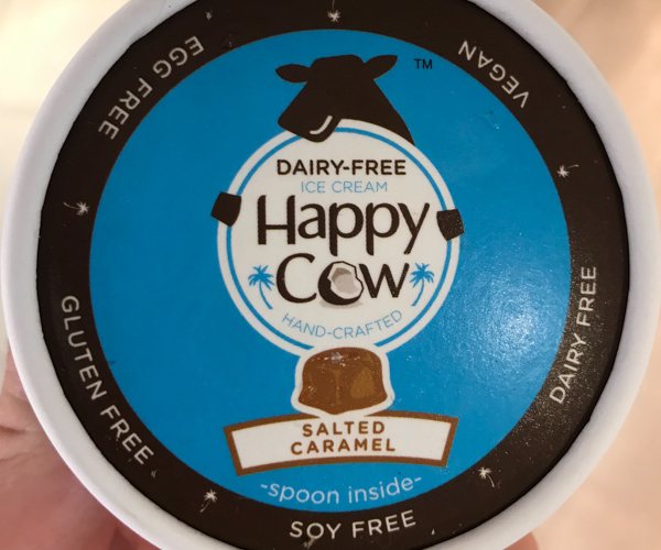 Happy Cow vegan ice cream 2
