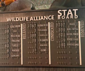 Wildlife Alliance Stats Board