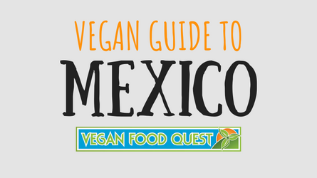 VEGAN GUIDE TO MEXICO FEATURED IMAGE