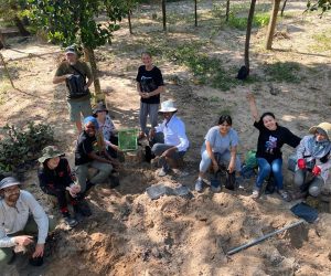 tree planting