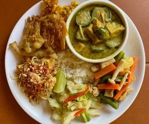 vegan food and elephants