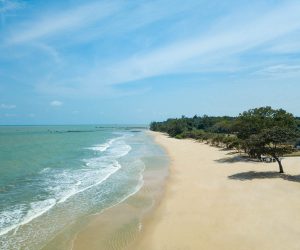 Anantara Desaru Coast Resort & Villas - Beach