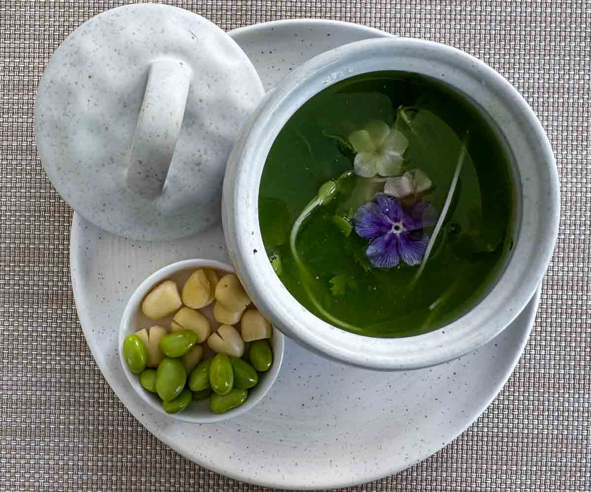 TIA Wellness_plant based 12