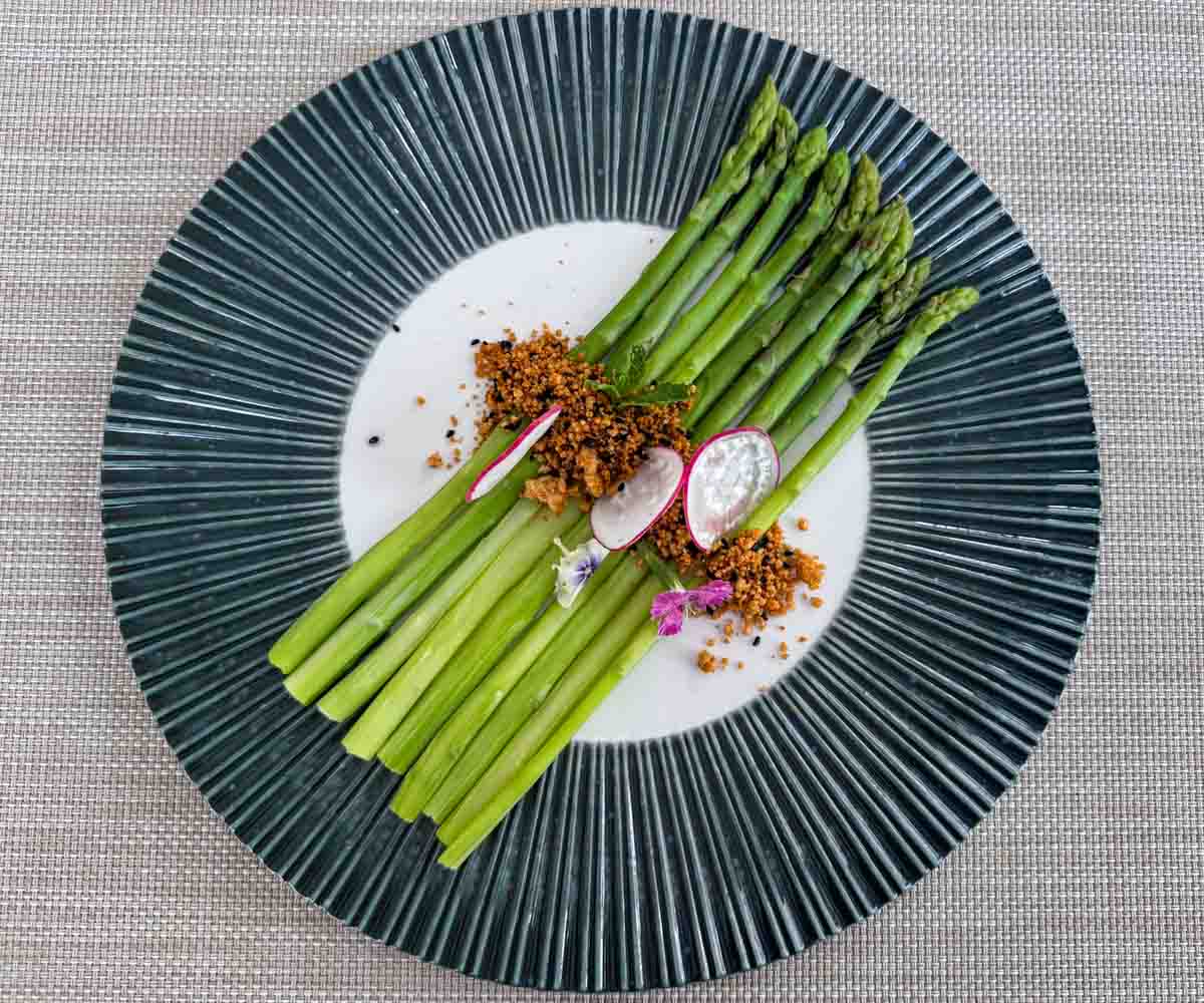 TIA Wellness_plant based 3