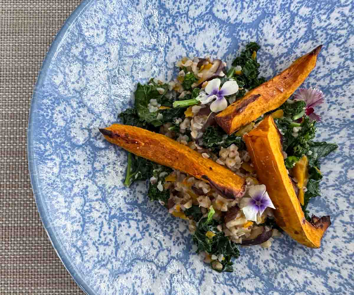 TIA Wellness_plant based 4